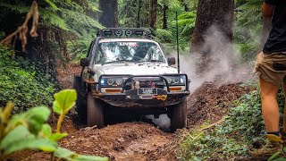 4WD COCKPIT! Treps vs Silverstones vs Razrs - Pushing it to the LIMIT in Toolangi | Livin 4x4