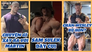 Download Lagu Has Wesley's Leg Improved? + Sam Sulek Is Doing Better + What's Happening to Martin? MP3