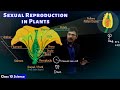 Sexual Reproduction in Plants | CBSE Class 10 Science