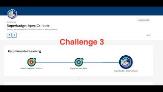 Challenge 3 : Accessibility Project Billing | Superbadge: Apex Callouts