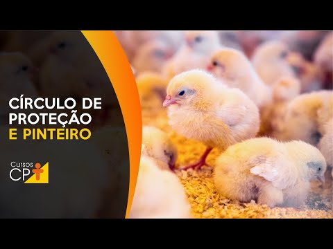 Círculo de proteção e pinteiro 