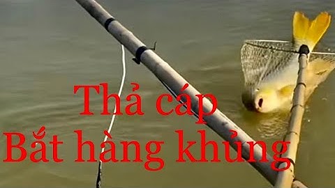 Thả cáp máy 44fet 24v bắt hàng khủng ngoài sông lớn |lh:0824.288.116📲📲📲