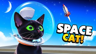 Brave Cat Finds A Space Helmet And Becomes Space Cat! - Little Kitty Big City