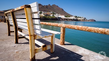 Using the Right Lens to Tell a Story: Exploring Photography with Mark Wallace