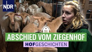 Viel Milch für die Lämmer | Hofgeschichten: Leben auf dem Land (221) | NDR