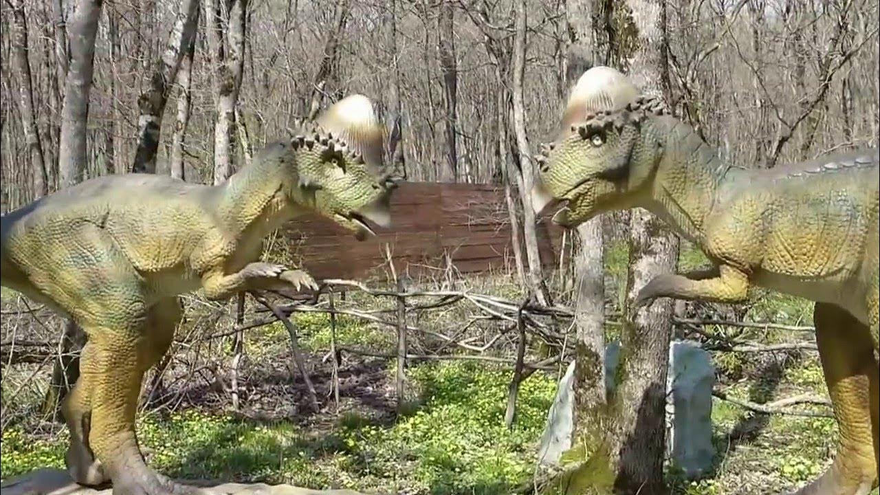 Динопарк рекс ставрополь парк победы фото