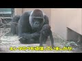 ゲンキ誕生日動画2020