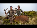Mammoth Tops Mission - Red Stags, Chamois and Pigs | New Zealand Public Land Hunting 2021