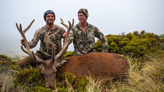 Mammoth Tops Mission  Red Stags, Chamois and Pigs | New Zealand Public Land Hunting 2021