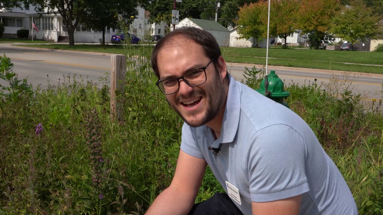 Lots to Landscapes: Small Plots