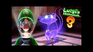 Luigi’s Mansion 3 vs Gato