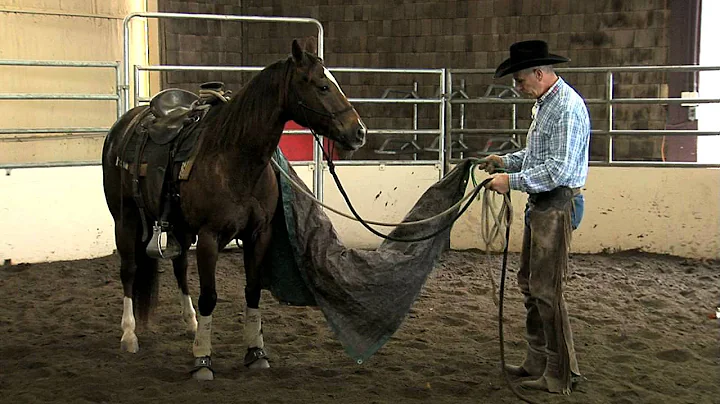 Dennis Reis Universal Horsemanship TV Aired 01.27....
