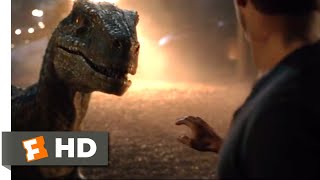 Jurassic World: Fallen Kingdom (2018) - Goodbye, Blue Scene (9/10) | Jurassic Park Fansite