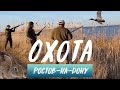 Первая охота в Ростове-на-Дону или как мы отпустили 10 зайцев.