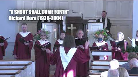 "A Shoot Shall Come Forth," by Richard Horn