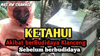 Keuntungan Budidaya Klanceng
