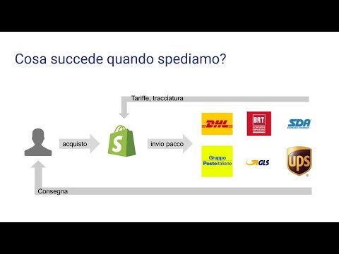 Video: Differenza Tra Spedizione E Spedizione