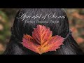 Beautiful Simple Living Music | 1 Hour of Slow Living Music | Calming and Relaxing