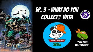 Ep. 3 What Do You Collect - With Pandawesome316 | Berkfamily54comics
