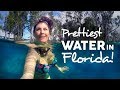 CRYSTAL RIVER Florida & Three Sisters Springs VLOG + New GoPro GEAR