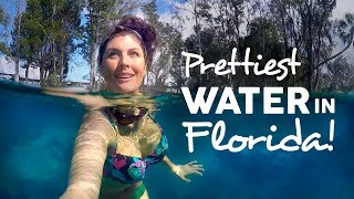 CRYSTAL RIVER Florida & Three Sisters Springs VLOG + New GoPro GEAR