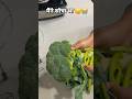 चौपट कर दिया 😭😱#ytshorts #funny#comedy #trending #Brockley #foodflavordr #phonepay #wifes#google