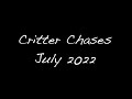 Critter Chases