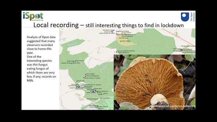 Janice Ansine and Dr Mike Dodd. Presentation from ...