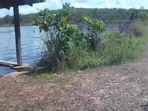 Lagoa do Tocantins Tocantins fonte: i.ytimg.com