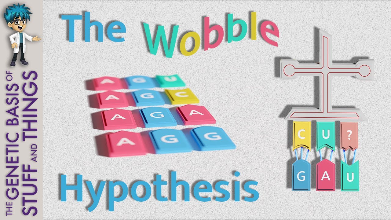 explain wobble hypothesis