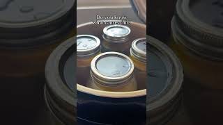 Canning Chicken Broth and Siphoning