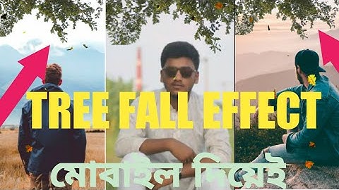 How to Add Tree Fall Effect in any Status video with mobile l fb status video editing l mohammod 007
