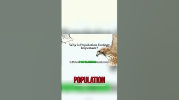 Predators, Diseases & Populations: An Ecosystem