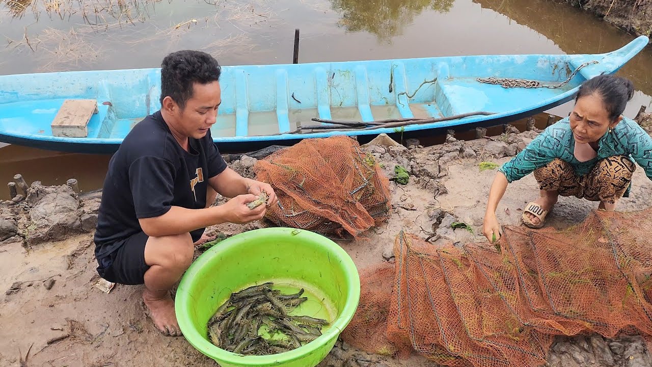 VỀ U MINH CÀ MAU Thăm Cha Mẹ Vợ Và Đi Bắt Cua Tôm Sú | HLDT 978