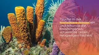 Top 5 Unvergessliche Ausflüge In Der Dominikanischen Republik Für Deine Bucket List