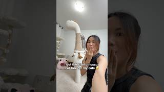 The way Pepper go for it 🦖😂