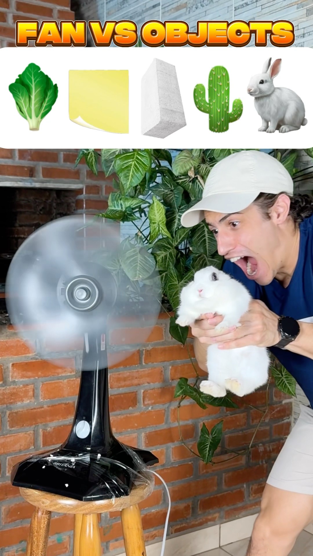 Quais objetos o ventilador vai cortar?!? #shorts #challenge