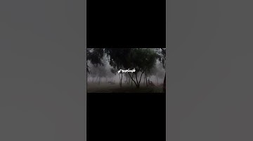 وَإِذا سَأَلَكَ عِبادي عَنّي فَإِنّي قَريبٌ - سورة البقرة - علي جابر  #اكسبلور #قرآن  #المصحف #لايك