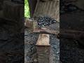 black vidmate work short video