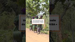 Lassociation Tinba A Développé Le Concept De Poulaillers Mobiles.