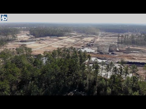 As Margaritaville Hilton Head expands, trees are removed