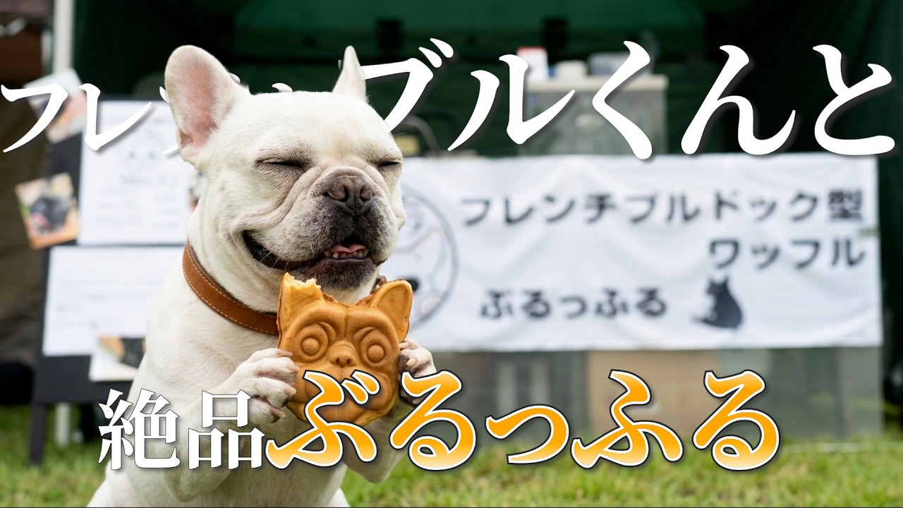 AI犬】ブル君の手作りおにぎり屋さん【癒し】Buru-kun's Handmade