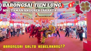 CNY 2026 | Acrobatic Lion Dance 2026 at Mall Taman Anggrek Jakarta | Atraksi Barongsai TIEN LUNG