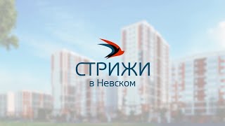 ЖК Стрижи в Питере