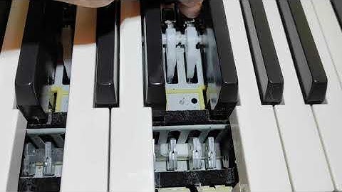 Nord Piano repair Fatar keyboard clacking