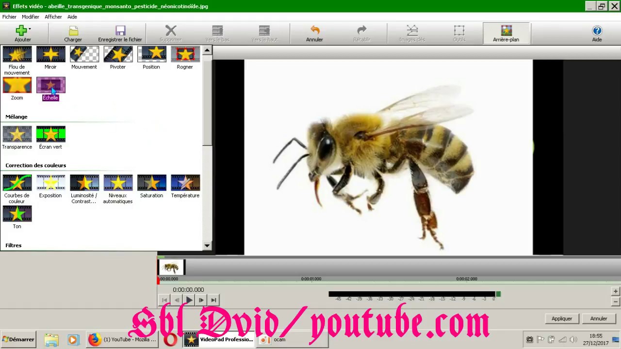 Comment Faire Bouger Une Image Dans Une Video Videopad