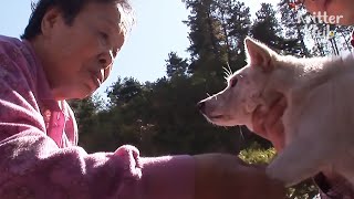 Demanslı Büyükanne Terk Edilen Evinde Bekleyen Köpeğe Yeniden Bir Araya Geldi (Bölüm 2) Kritter Klub