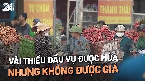 Vải thiều được mùa nhưng không được giá | VTV24
