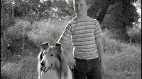 RSF Security - Your GE Pro Dealer