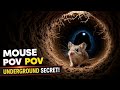 Mouse POV: The Secret Underground City #mouse #wildlife #hiddenworld #Curiosity Word #POVHidden